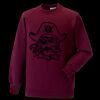Kids raglan sleeve sweatshirt Thumbnail