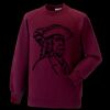 Kids raglan sleeve sweatshirt Thumbnail