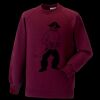 Kids raglan sleeve sweatshirt Thumbnail