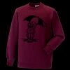 Kids raglan sleeve sweatshirt Thumbnail