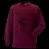 Kids raglan sleeve sweatshirt Thumbnail