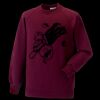 Kids raglan sleeve sweatshirt Thumbnail