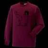 Kids raglan sleeve sweatshirt Thumbnail