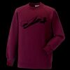 Kids raglan sleeve sweatshirt Thumbnail