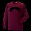 Kids raglan sleeve sweatshirt Thumbnail