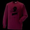 Kids raglan sleeve sweatshirt Thumbnail