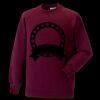 Kids raglan sleeve sweatshirt Thumbnail