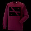 Kids raglan sleeve sweatshirt Thumbnail