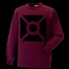 Kids raglan sleeve sweatshirt Thumbnail