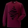 Kids raglan sleeve sweatshirt Thumbnail