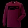 Kids raglan sleeve sweatshirt Thumbnail