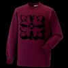 Kids raglan sleeve sweatshirt Thumbnail