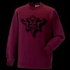 Kids raglan sleeve sweatshirt Thumbnail