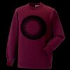 Kids raglan sleeve sweatshirt Thumbnail