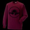 Kids raglan sleeve sweatshirt Thumbnail