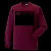 Kids raglan sleeve sweatshirt Thumbnail
