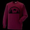 Kids raglan sleeve sweatshirt Thumbnail