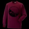 Kids raglan sleeve sweatshirt Thumbnail