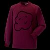 Kids raglan sleeve sweatshirt Thumbnail