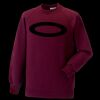 Kids raglan sleeve sweatshirt Thumbnail