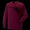 Kids raglan sleeve sweatshirt Thumbnail