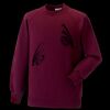 Kids raglan sleeve sweatshirt Thumbnail