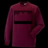 Kids raglan sleeve sweatshirt Thumbnail