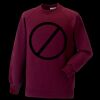 Kids raglan sleeve sweatshirt Thumbnail