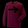 Kids raglan sleeve sweatshirt Thumbnail