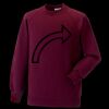 Kids raglan sleeve sweatshirt Thumbnail