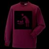 Kids raglan sleeve sweatshirt Thumbnail