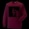 Kids raglan sleeve sweatshirt Thumbnail