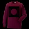 Kids raglan sleeve sweatshirt Thumbnail