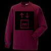 Kids raglan sleeve sweatshirt Thumbnail