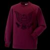 Kids raglan sleeve sweatshirt Thumbnail
