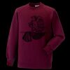 Kids raglan sleeve sweatshirt Thumbnail