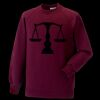 Kids raglan sleeve sweatshirt Thumbnail