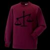 Kids raglan sleeve sweatshirt Thumbnail