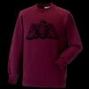 Kids raglan sleeve sweatshirt Thumbnail