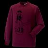 Kids raglan sleeve sweatshirt Thumbnail