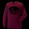 Kids raglan sleeve sweatshirt Thumbnail