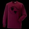 Kids raglan sleeve sweatshirt Thumbnail