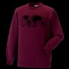 Kids raglan sleeve sweatshirt Thumbnail