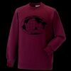 Kids raglan sleeve sweatshirt Thumbnail