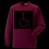Kids raglan sleeve sweatshirt Thumbnail