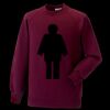 Kids raglan sleeve sweatshirt Thumbnail
