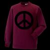 Kids raglan sleeve sweatshirt Thumbnail