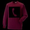Kids raglan sleeve sweatshirt Thumbnail