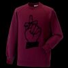 Kids raglan sleeve sweatshirt Thumbnail
