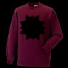 Kids raglan sleeve sweatshirt Thumbnail